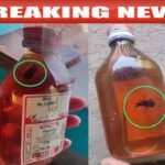 Chhattisgarh Excise Department News : बोतल के भीतर कॉकरोच का वीडियो देख नेटिजन्स ने उठाए प्रशासन पर सवाल