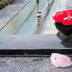 Assembly Gate No 2 Incident : विधानसभा में ‘मिशन इम्पॉसिबल’, 2 बजे दोपहर में बैरिकेडिंग चकनाचूर, स्पीकर ऑफिस तक पहुंचा हमलावर