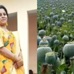 CG NEWS : अफीम खेती मामले में निलंबित RAEO एकता साहू बहाल, लेकिन जांच जारी