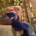 CG NEWS : आधुनिकता की अंधी दौड़’ दुर्ग में स्कूली छात्रा का आपत्तिजनक वीडियो वायरल, सोशल मीडिया पर नैतिकता पर छिड़ी बहस