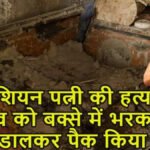 ‘Box Incident ‘: पति ने डाइटिशियन पत्नी की हत्या कर शव को संदूक में भरकर डाला सीमेंट, मेरठ के ‘नीला ड्रम’ जैसा खौफनाक अंत