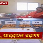 Chhattisgarh News : न्यायधानी में ‘बादाम प्रोटेस्ट’, एक साल से नामांतरण के लिए भटक रहे युवक ने अधिकारियों को दिखाया आईना