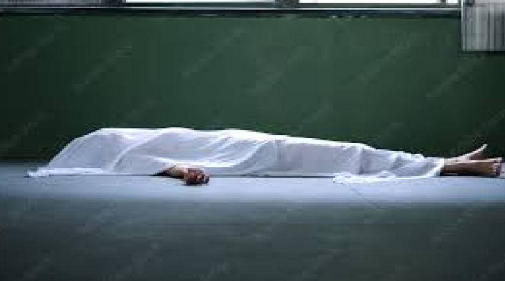 Chhattisgarh Domestic Violence Case