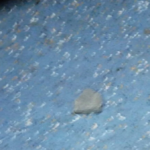 Shivnath Express : ट्रेन में मची दहशत , शिवनाथ एक्सप्रेस पर हमला, पत्थरबाजी से शीशे टूटे, बाल-बाल बचे सो रहे यात्री