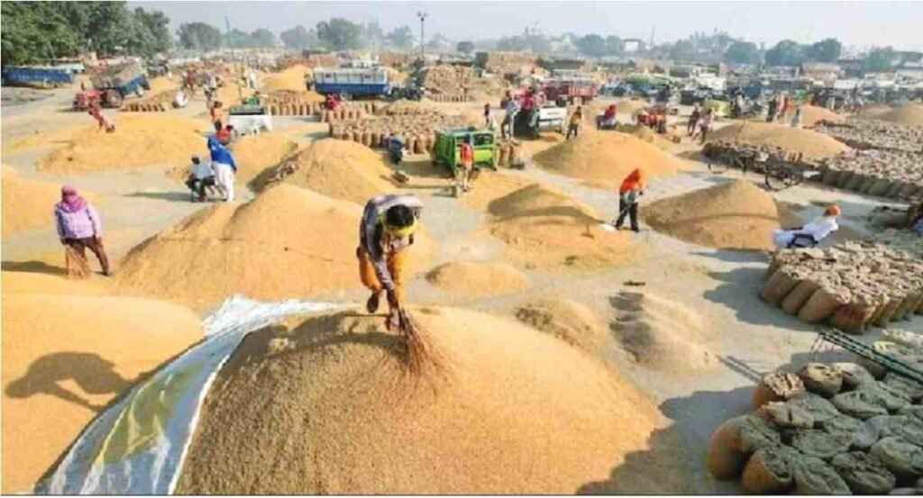 Chhattisgarh Dhan Kharidi Scam 2026