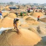 Chhattisgarh Dhan Kharidi Scam 2026 : सरकारी खजाने में सेंध , कागजों में हुई धान की खरीदी, हकीकत में ₹1.29 करोड़ का माल गायब