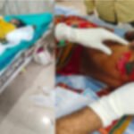 Chhattisgarh News : जंगलों में जंगली सुअर ने महिलाओं के दल पर किया जानलेवा हमला