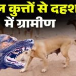 CG NEWS : पागल कुत्ते का तांडव’ 10 ग्रामीणों को काटकर किया लहूलुहान, इलाके में दहशत