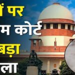 आवारा कुत्तों पर आज Supreme Court’ का बड़ा फैसला’ सड़क या शेल्टर हाउस, तय होगी दिशा