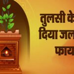 Religious Affiliation : सिर्फ घी ही नहीं’ तुलसी के पास तिल के तेल का दीपक जलाने से मिलते हैं कई चमत्कारी फायदे