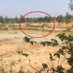 छत्तीसगढ़ में दर्दनाक घटना: तालाब में नहाते समय बड़े हाथी के नीचे दबकर शावक की मौत