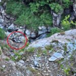 CG NEWS : हिमाचल हादसे में छत्तीसगढ़ के 4 लोगों की मौत’ 500 मीटर गहरी खाई में गिरी कार, 2 बच्चों समेत 8 की जान गई
