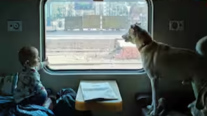 Indian Railway Rule