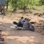 CG NEWS : नारायणपुर में धर्मांतरण विवाद गहराया, 26 ईसाई परिवारों को गांव से बाहर निकालने का आरोप; इलाके में पुलिस बल तैनात