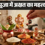 अक्षत का मतलब जानते हैं आप? पूजा में क्यों वर्जित है खंडित चावल; यहाँ जानें इसके पीछे का धार्मिक कारण