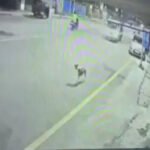 CG CRIME : पुरानी रंजिश में तीन युवकों पर जानलेवा हमला, वाहन से कुचलने की कोशिश के बाद लाठी-डंडों से पीटा, CCTV में कैद हुई वारदात