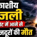 CG BREAKING : बिलासपुर में आकाशीय बिजली का कहर, खेत में काम कर रहे एक ही परिवार के तीन लोगों की मौत