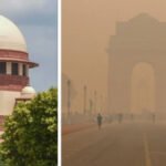 CG High Court : ‘दिल्ली जैसा प्रदूषण नहीं चाहिए’, हाईकोर्ट का बड़ा फैसला, जंगलों से 10 किमी दायरे में आरा मिलों पर रोक बरकरार