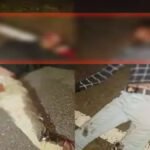 CG Accident News : सरगुजा में दर्दनाक सड़क हादसे’ दो दुर्घटनाओं में 4 लोगों की मौत, एक गंभीर घायल