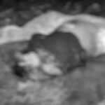 CG Crime News : महिला की हत्या के बाद शव के साथ दुष्कर्म का आरोप, शव के टुकड़े कर नदी में फेंका’ आरोपी गिरफ्तार
