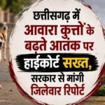 Dog Sterilization : आवारा कुत्तों के बढ़ते आतंक पर हाईकोर्ट सख्त, सरकार से मांगी जिलेवार रिपोर्ट