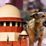 CG High Court : डॉग बाइट के बढ़ते मामलों पर हाईकोर्ट सख्त, कहा- सिर्फ योजनाएं नहीं, लगातार निगरानी और प्रभावी अमल भी जरूरी