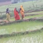 CG News : खेत बना प्रसूति कक्ष, सड़क नहीं होने से गर्भवती ने खेत में दिया बच्चे को जन्म, स्वास्थ्य व्यवस्था पर उठे सवाल