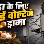CG News : खाने में अंडा नहीं मिला तो मोबाइल टावर पर चढ़ गया युवक, सरगुजा में हाई वोल्टेज ड्रामा, वीडियो वायरल