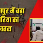 CG News : बिलासपुर में मलेरिया का कहर, इलाज के दौरान 37 वर्षीय महिला की मौत’ स्वास्थ्य विभाग की तैयारियों पर उठे सवाल