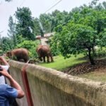 CG News : बालिका छात्रावास में घुसे दो जंगली हाथी, छात्राओं में मची अफरा-तफरी’ आधी रात 58 छात्राएं सुरक्षित शिफ्ट