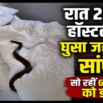 CG Crime News : दर्दनाक हादसा’ आधी रात छात्रावास में घुसा जहरीला सांप, छह छात्राओं को डंसा’ तीन की मौत