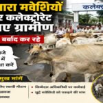 CG NEWS : 50 आवारा मवेशियों को लेकर कलेक्टोरेट पहुंचे ग्रामीण, बोले- फसल बर्बाद कर रहे, अब साहब के दरवाजे बांधेंगे