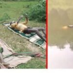 CG News : तालाब में डूब रहे पति को बचाने पत्नी ने लगाई छलांग, दोनों की मौत; रिश्तेदार को ग्रामीणों ने बचाया