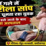 CG NEWS : नशे में गले में जहरीला सांप डालकर घूमता रहा युवक, कई बार डसे जाने के बाद पहुंचा अस्पताल