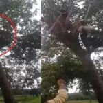 CG News : 33KV बिजली तार ने ली ग्रामीण की जान, पेड़ की डाल काटते समय हुआ दर्दनाक हादसा’ तीन बेटियों के सिर से उठा पिता का साया