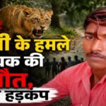 CG BREAKING : शेरनी के हमले से युवक की मौत, शावक के साथ आसपास होने की सूचना से मचा हड़कंप