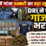 CG BREAKING : रायपुर में गांजा तस्करी के खिलाफ बड़ी कार्रवाई, DRI ने पकड़ा गांजा से भरा ट्रक