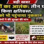 CG NEWS : हाथियों का आतंक’ तीन घरों को किया क्षतिग्रस्त, फसलों को भी पहुंचाया नुकसान, ग्रामीणों ने की सुरक्षा की मांग