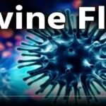 Swine Flu in Chhattisgarh : प्रदेश में आज मिले स्वाइन फ्लू के 46 नए मरीज, रायपुर में सबसे ज्यादा केस, जानिए जिलेवार आंकड़े