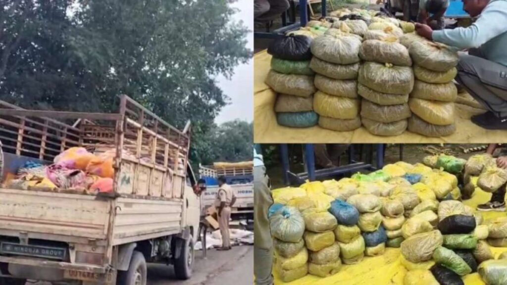 CG News : छत्तीसगढ़ में पकड़े गए गांजे से भरे दो पिकअप, 8 क्विंटल माल जब्त, 7 हिरासत में