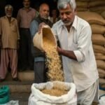 CG Ration Card : राशन कार्डधारियों के लिए जरूरी खबर’ सितंबर में मिलेगा दो महीने का राशन, 30 सितंबर आखिरी तारीख