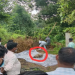 CG Crime News : लिव-इन पार्टनर की हत्या, शव सेप्टिक टैंक में छिपाया; रक्षाबंधन पर नहीं पहुंची तो खुला राज