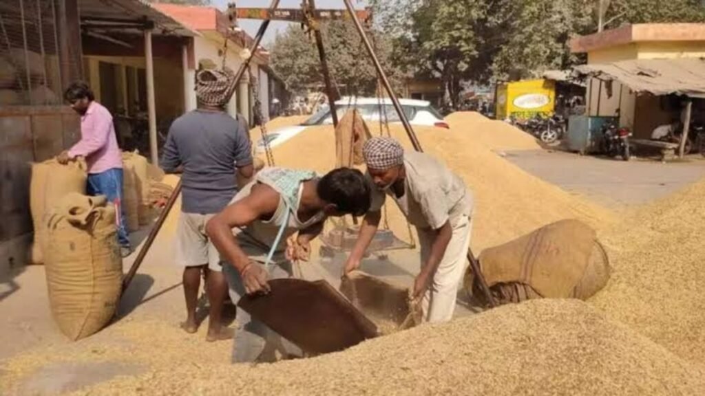 CG Dhan Kharidi 2026-27 : छत्तीसगढ़ में 15 नवंबर से शुरू हो सकती है धान खरीदी, 31 जनवरी 2027 तक चलेगी प्रक्रिया